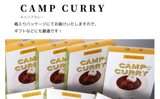 【キャンプカレー】大容量300gのレトルトカレー10食セット！ 166-007