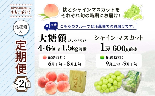 【2026年発送★先行予約】定期便全2回 桃 秀品 1.5kg 大糖領 シャインマスカット 1房 600g クール便　177-020-26y