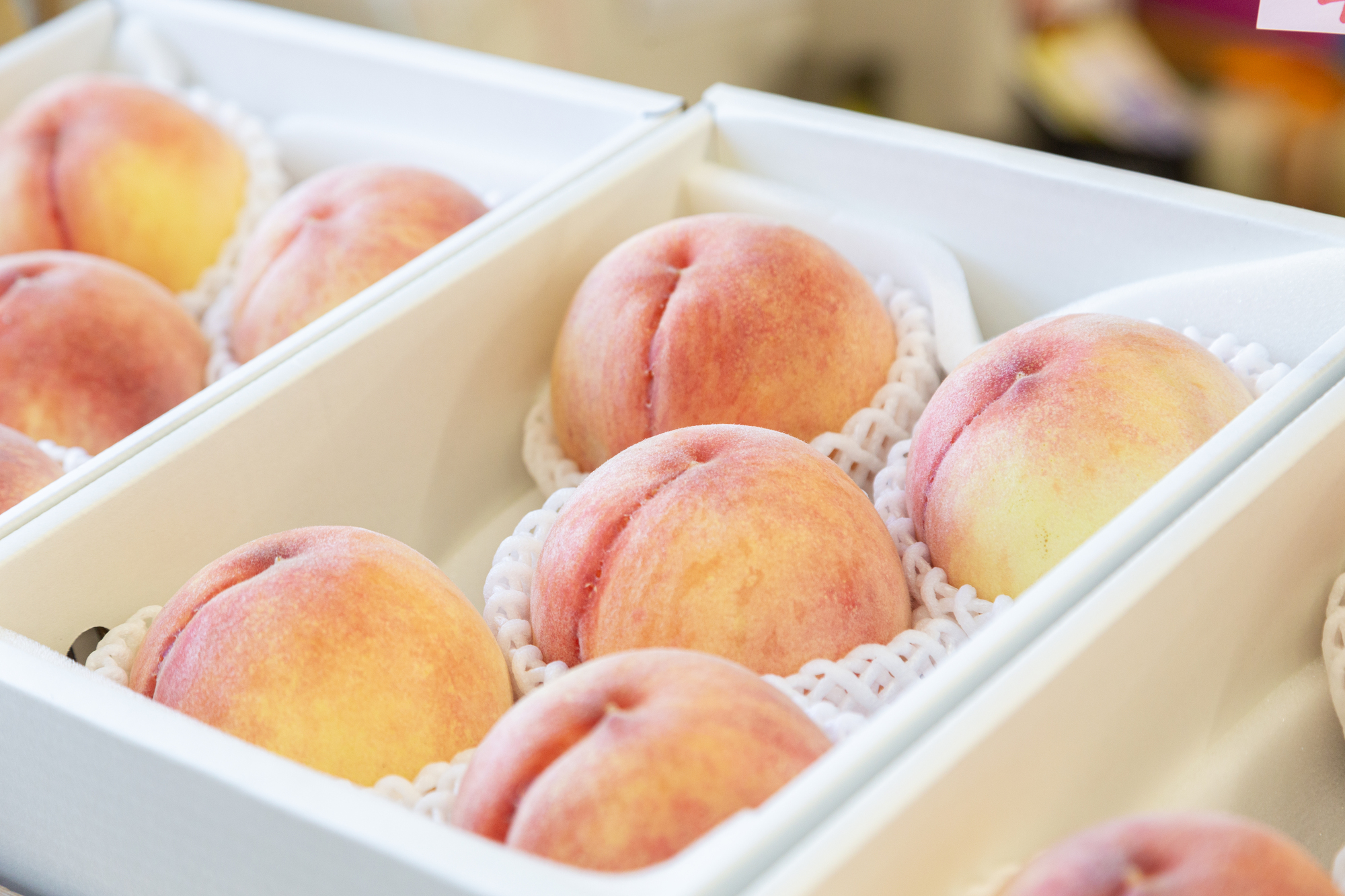 ç³åºŠ13床以äžããæé«å質ãéå®åãäžå®®ã®ãã¬ãã¢ã æ¡ã1.6ïœïœä»¥äžïŒ5çïŒ 168-004