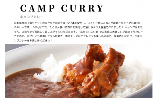 【キャンプカレー】大容量300gのレトルトカレー10食セット！ 166-007