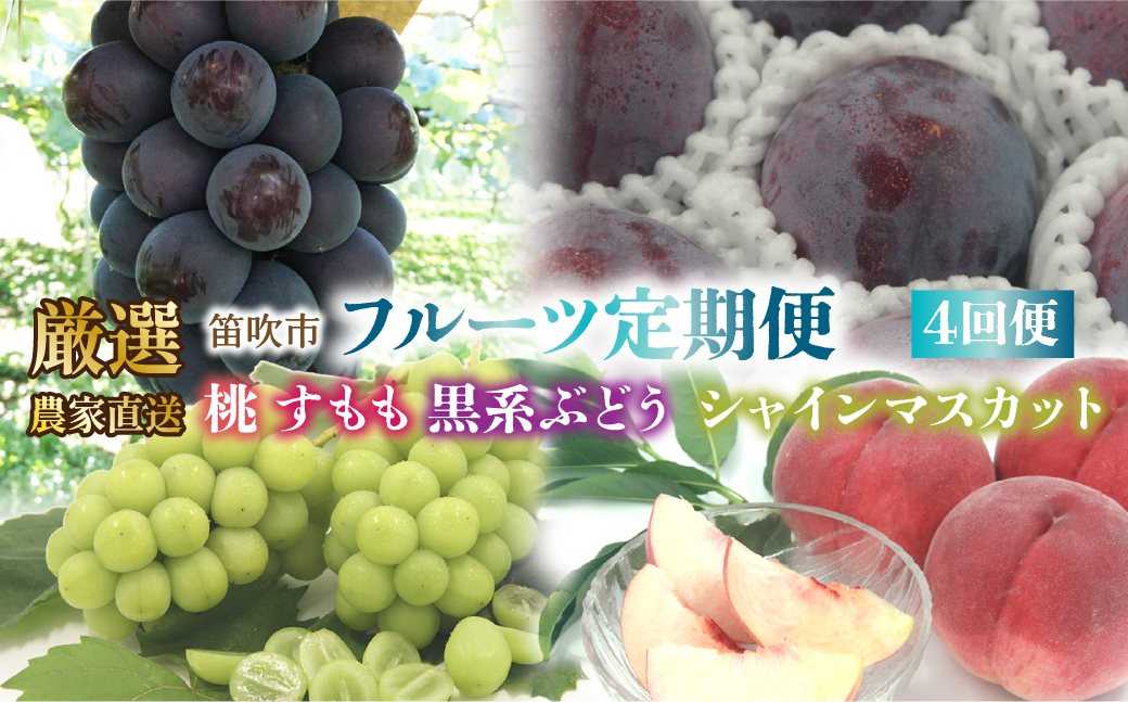 ＜25年発送先行予約＞笛吹市産　厳選!農家直送「フルーツ定期便4回便」 205-012