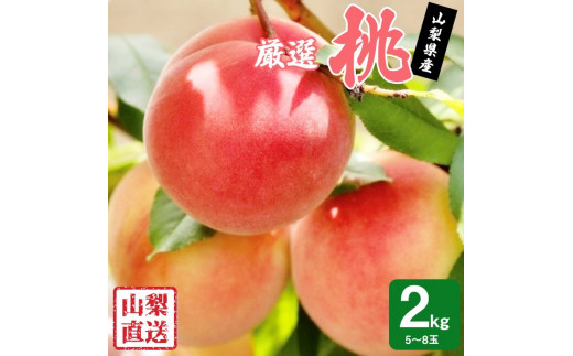 【2026年発送★先行予約】 厳選!!池田青果の桃　2kg　5～8玉 173-004-26y