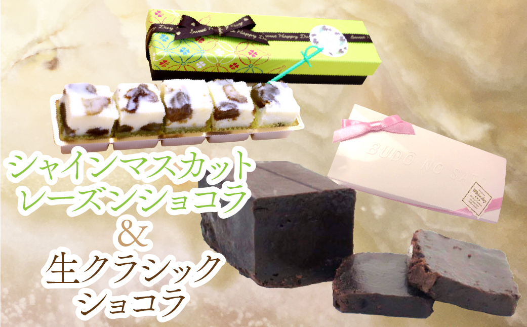 シャインマスカットレーズンショコラ＆生クラシックショコラ 019-001