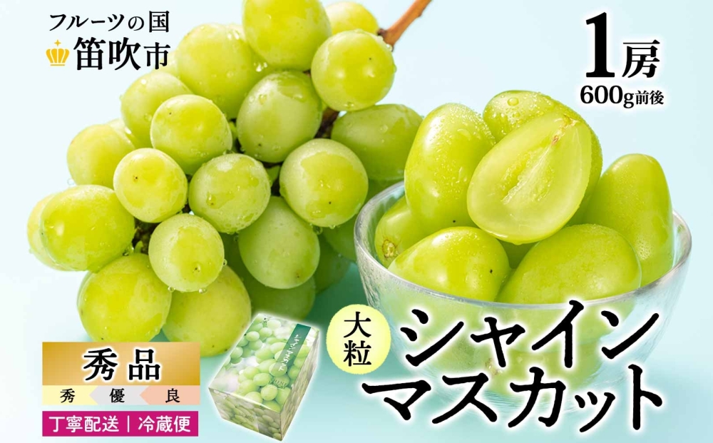 【2026年発送★先行予約】シャインマスカット 1房 600g前後 クール便配送 177-008-26y