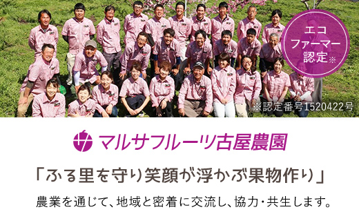 ＜25年発送先行予約＞山梨一宮産の桃 5～8個入約2kg 朝採り産地直送 088-013