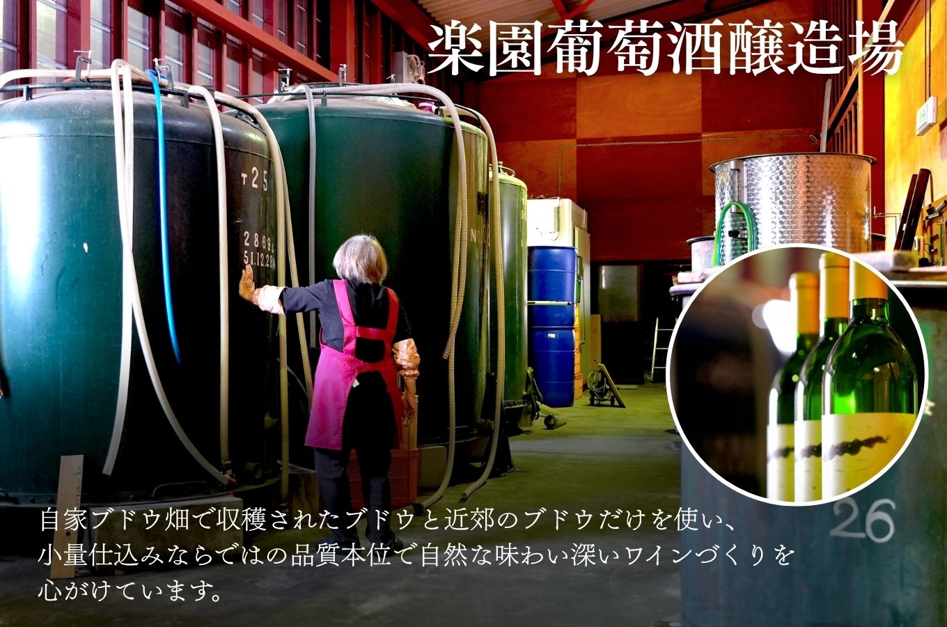 楽園ワイン赤・白2本セット 楽園葡萄酒醸造場 [5839-0047]