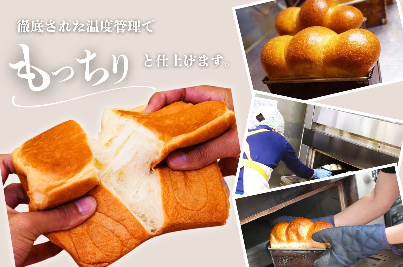 極上純生食パンと国産小麦のイギリスパンセット　国産小麦 無添加 パン ぱん 食パン ブレッド 人気[5839-1442]