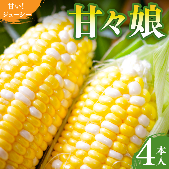 2027年6月発送　入手困難　甘々娘4本入り  REGALO [5839-2388]