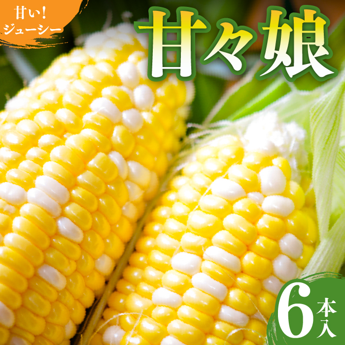 2027年6月発送　入手困難　甘々娘6本入り  REGALO [5839-2389]