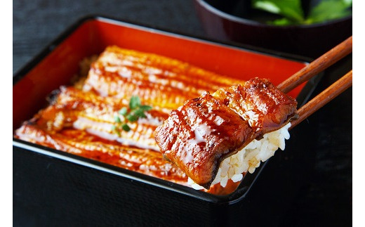 【中央市共通返礼品】国産うなぎ　職人手焼き蒲焼2尾（約260g）[5839-1508] 