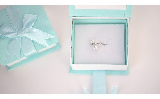 SILVER　イヤーカフ（P-102）[5839-1939]