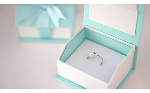 SILVER　イヤーカフ（P-70）[5839-1938]