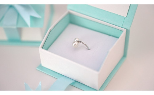 SILVER　イヤーカフ（P-102）[5839-1939]