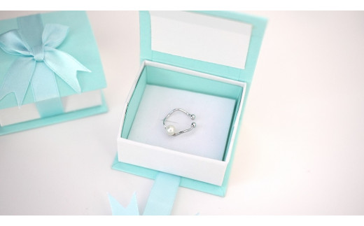 SILVER　イヤーカフ（P-70）[5839-1938]