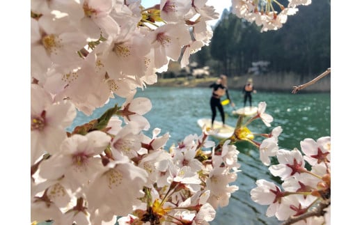 四尾連湖 NATIVEギフトチケット30,000円券　native surf[5839-2079]