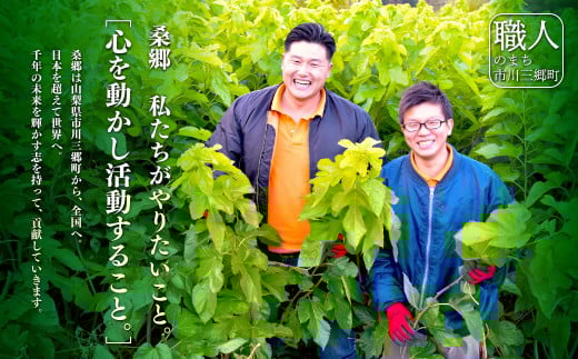 ハンさんのおいしいくわ茶スティック60p×3種セット　お茶 健康 ヘルシー ダイエット 簡単 お手軽 カフェインレス セット ギフト 贈答 プレゼント[5839-1235]
