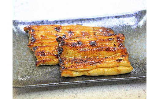 【中央市共通返礼品】国産うなぎ　職人手焼き蒲焼2尾（約260g）[5839-1508] 