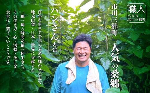 桑×抹茶・健康茶・飲むサラダ・青汁　10包×6袋[5839-1196]