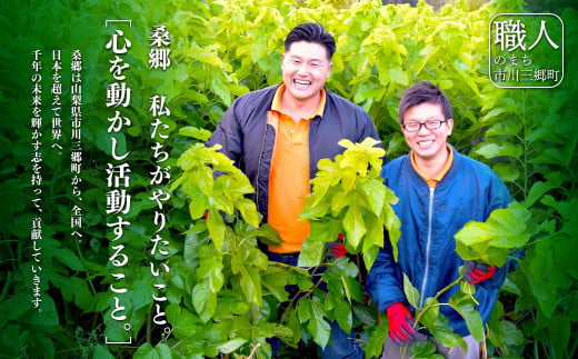 桑×抹茶・健康茶・飲むサラダ・青汁　10包×6袋[5839-1196]