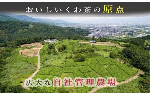 桑×抹茶・健康茶・飲むサラダ・青汁　60包×2箱[5839-1340]