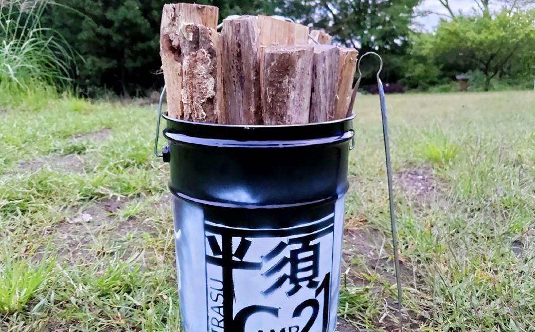 宿泊プラン 林間フリーサイト 薪付  1泊2日 山梨県 キャンプ キャンプ場 利用券 宿泊券 アウトドア 身延町