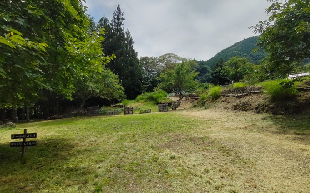 平須CAMP21 オートサイト宿泊プラン1泊2日 薪付 山梨県 キャンプ キャンプ場 利用券 宿泊券 アウトドア 身延町