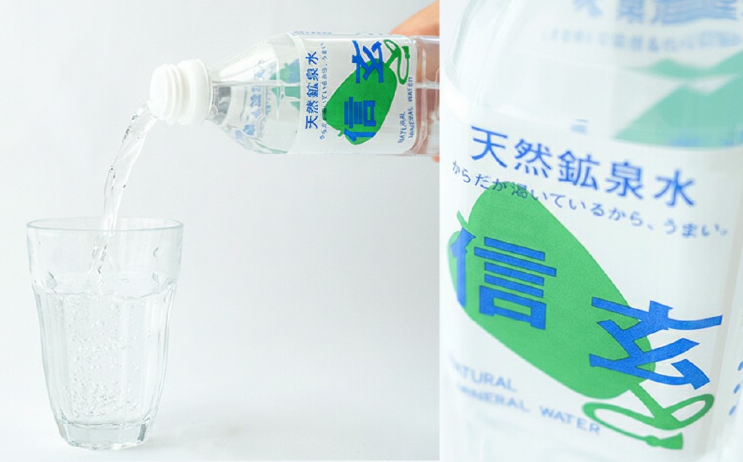 【12ヶ月定期便】天然鉱泉水「信玄」ナチュラルミネラルウォーター 500ml × 24本入