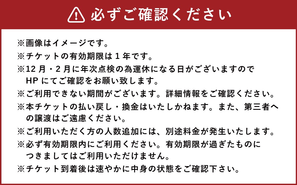 身延山 ロープウェイ 大人 往復 乗車券 2枚 ゴンドラ ロープウェー 利用券 乗車 乗り物 チケット 券 体験 観光 旅行 絶景 自然
