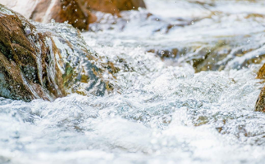 【6ヶ月定期便】天然鉱泉水「信玄」ナチュラルミネラルウォーター  500ml×24本入 