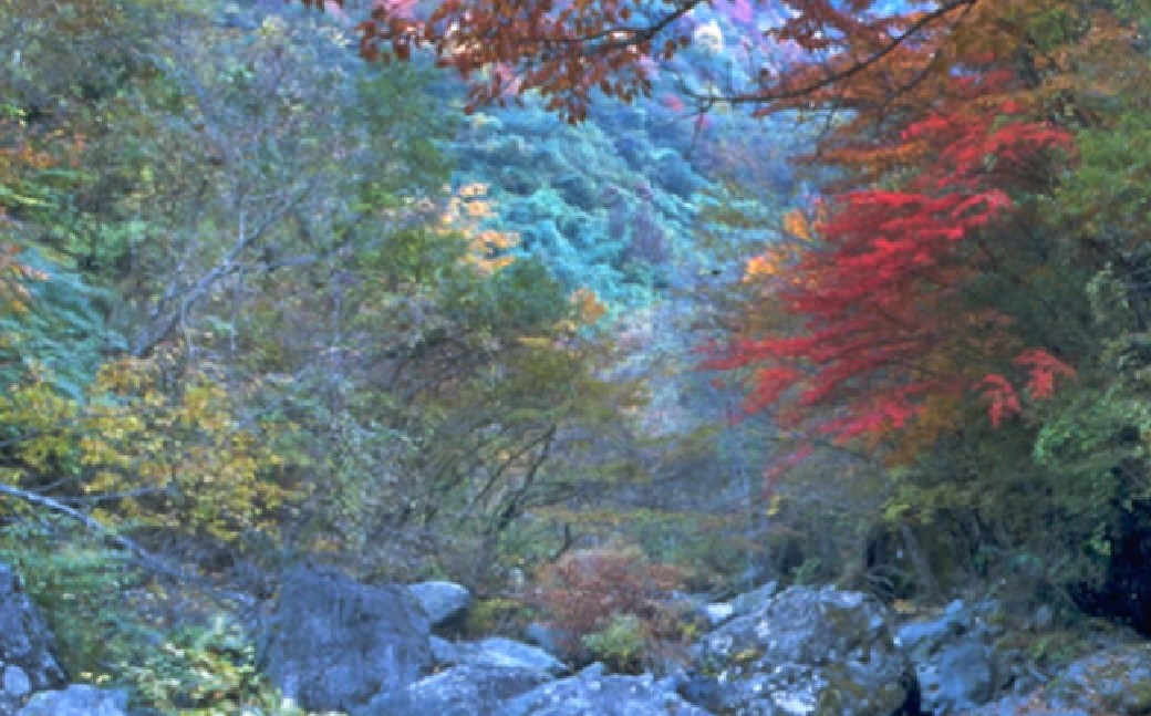 天然鉱泉水「信玄」ナチュラルミネラルウォーター 500ml×24本