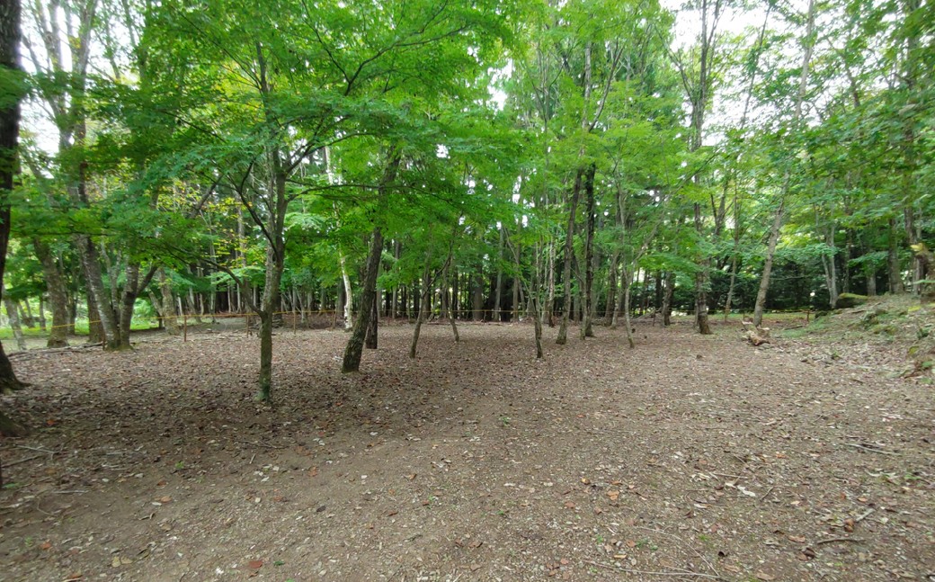 宿泊プラン 林間フリーサイト 薪付  1泊2日 山梨県 キャンプ キャンプ場 利用券 宿泊券 アウトドア 身延町