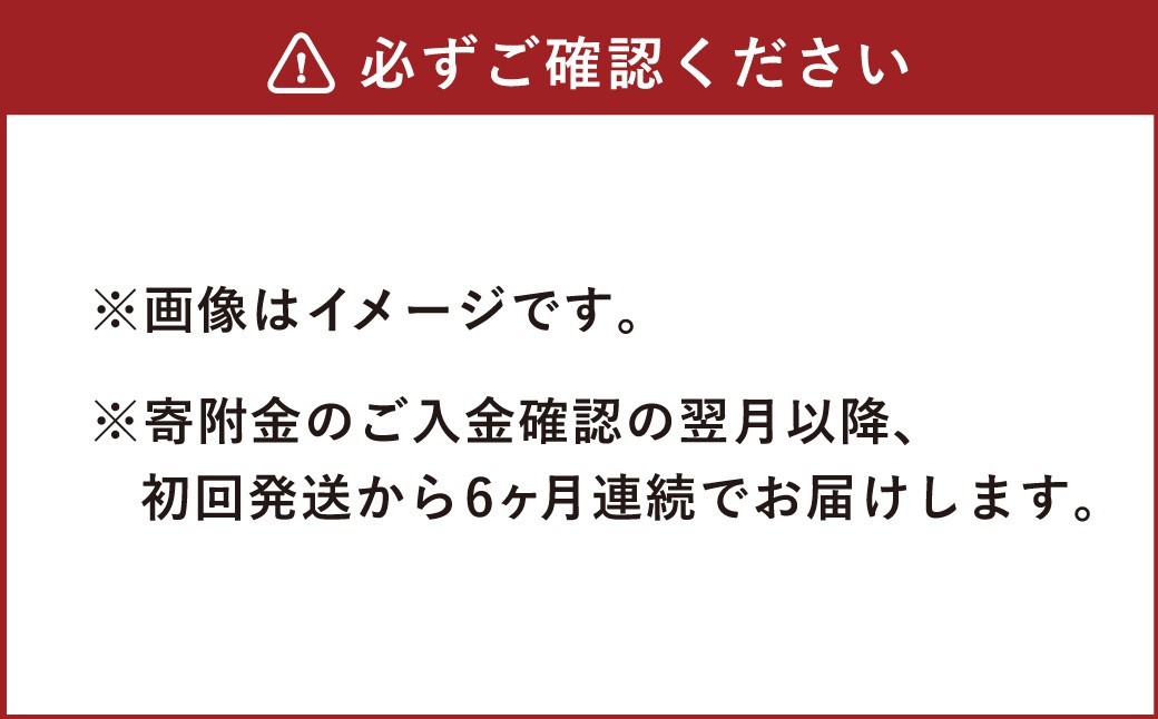 【6ヶ月定期便】天然鉱泉水「信玄」ナチュラルミネラルウォーター  500ml×24本入 