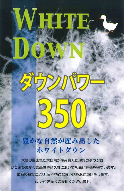 【数量限定・訳あり】羽毛肌掛けふとん　ダブル　ホワイトダウン８５％使用　【柄お任せ】
