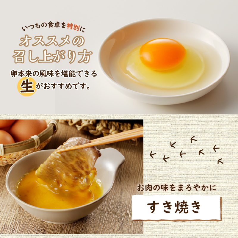 【3ヶ月定期便】”忍野の卵”旨味のピンク玉　※卵15個+割れ保証5個　計60個