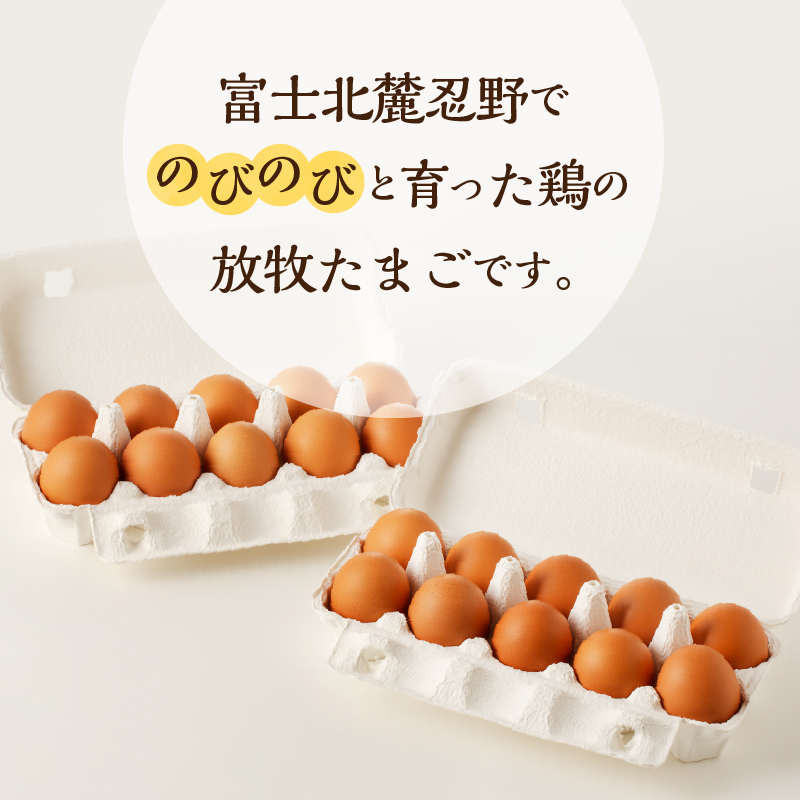 【12ヶ月定期便】忍野の平飼い放牧卵80個（75個＋割れ保証5個）