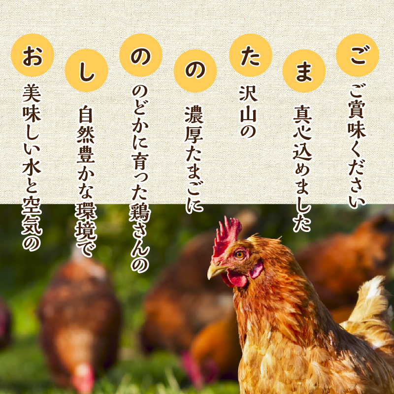 【3ヶ月定期便】忍野の平飼い放牧卵50個（45個＋割れ保証5個）