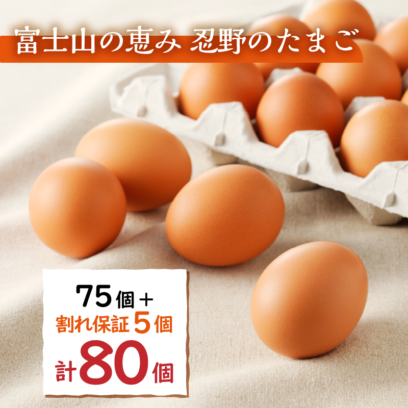 【7月配送分】富士山の麓で育った産地直送 ”忍野の卵”※卵75個+割れ保証5個　計80個