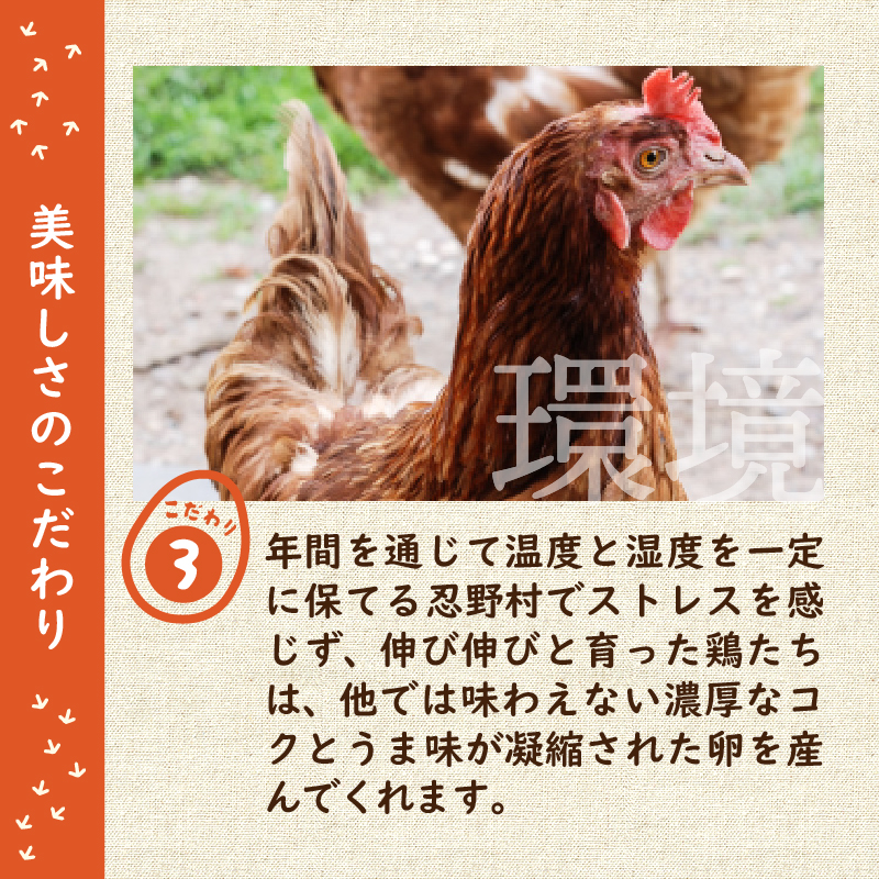 忍野の平飼い放牧卵80個（75個＋割れ保証5個）