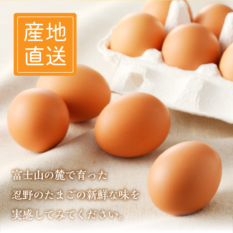 【3ヶ月定期便】忍野の平飼い放牧卵80個（75個＋割れ保証5個）
