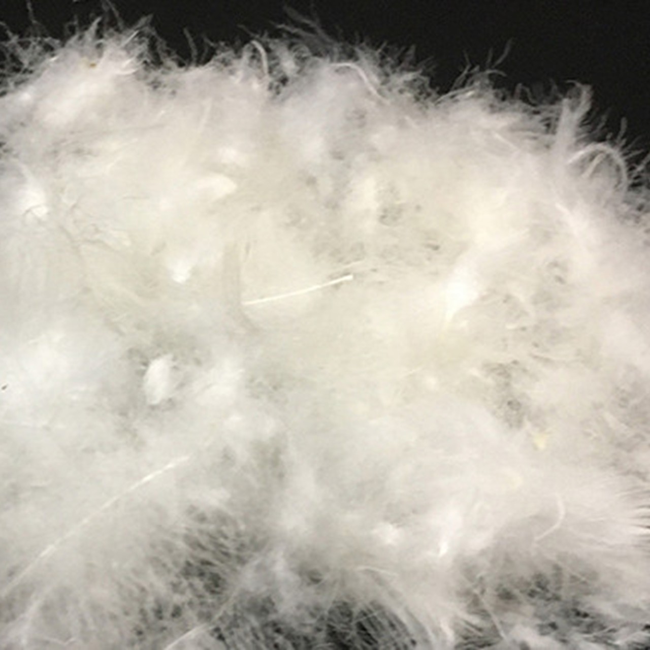 羽毛合掛けふとん（抗ウイルス・抗菌加工）　シングル　ホワイトダウン８５％