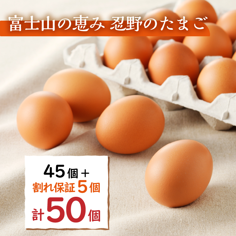 【6月配送分】富士山の麓で育った産地直送 ”忍野の卵”※卵45個+割れ保証5個　計50個