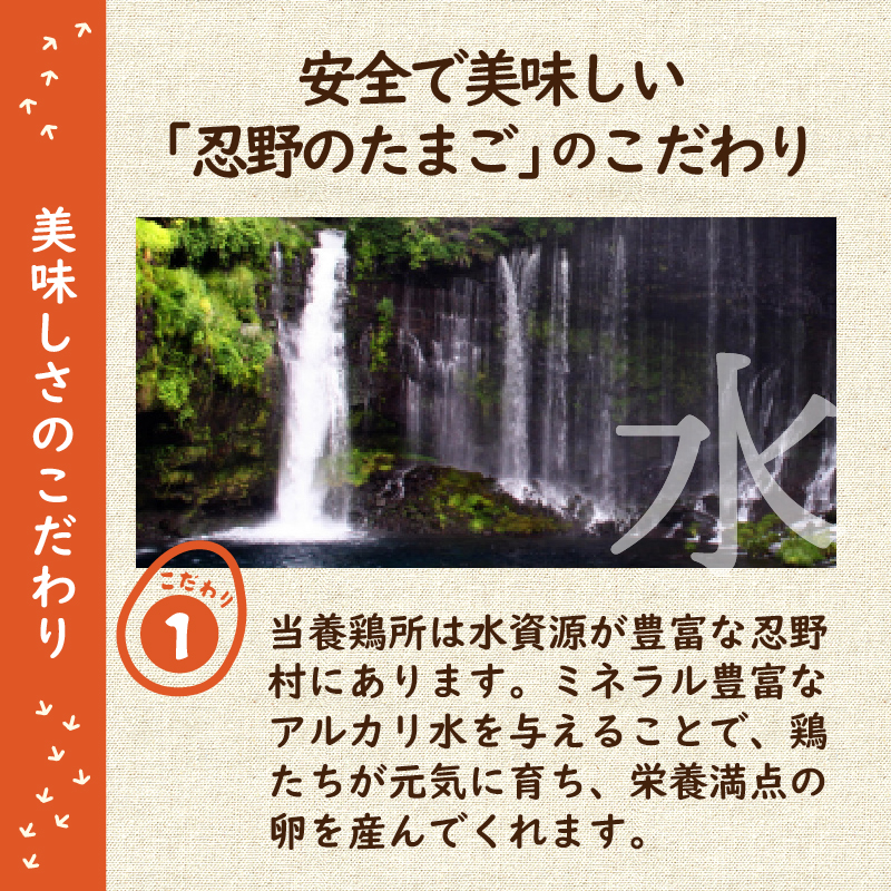 【8月配送分】”忍野の卵”旨味のピンク玉※卵45個+割れ保証5個　計50個