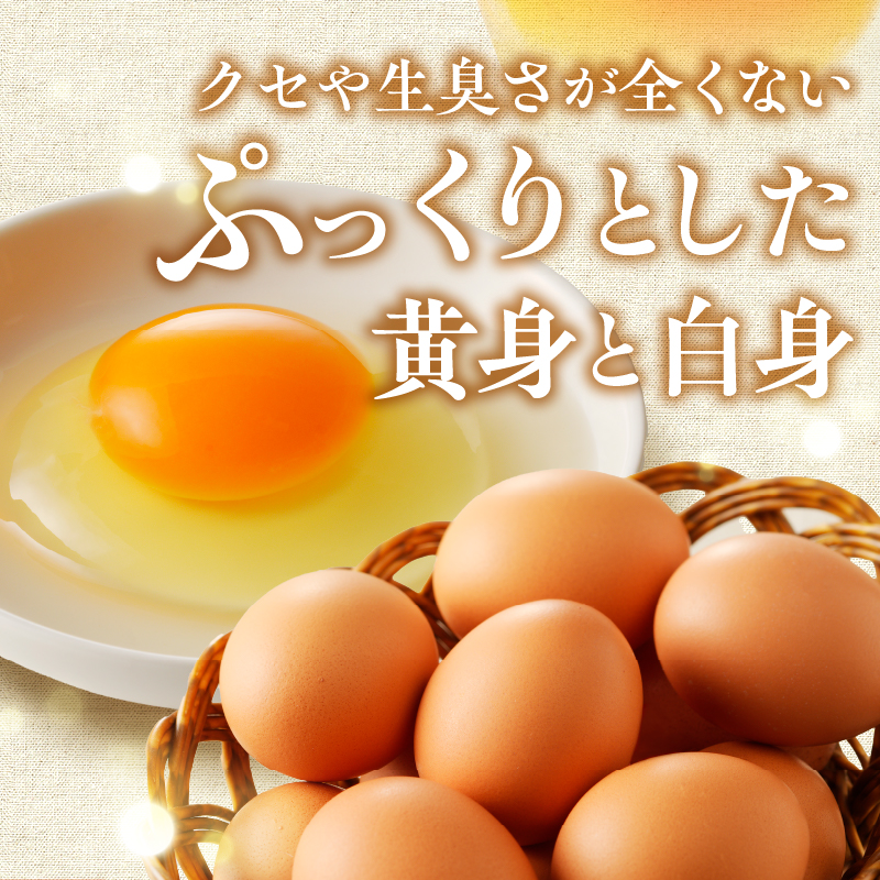 ã8æé
éåãå¯å£«å±±ã®éºã§è²ã£ãç£å°çŽé âå¿éã®åµââ»åµ140å+å²ãä¿èšŒ10åãèš150å