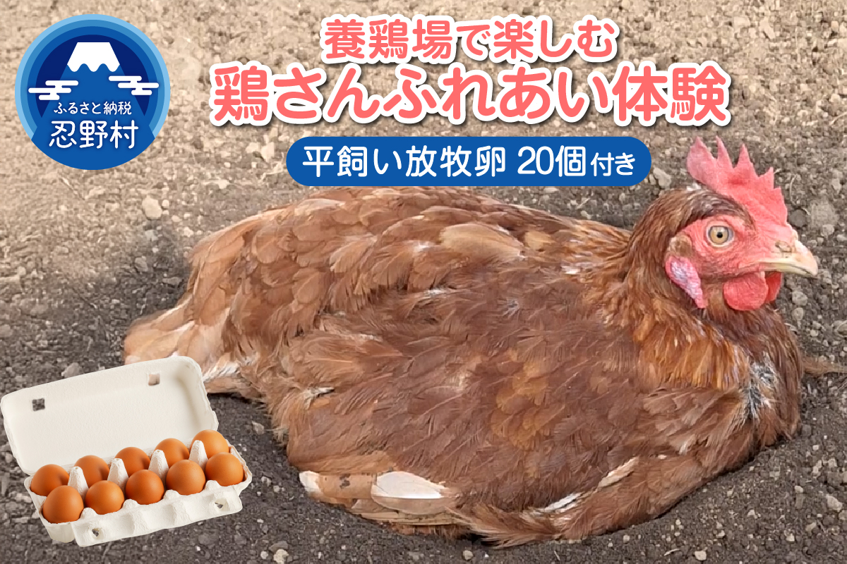 養鶏場で楽しむ鶏さんふれあい体験（平飼い放牧卵20個付き）