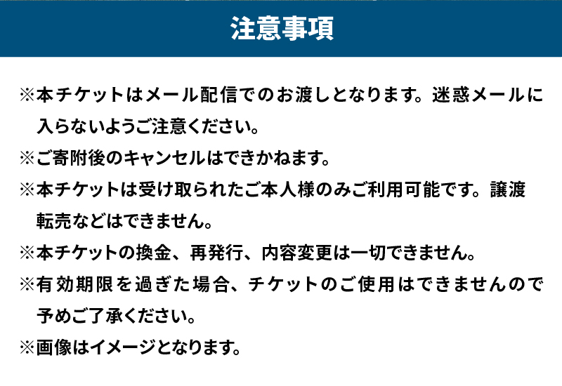 SiＮRA　木製トレーラーハウス　割引チケット
