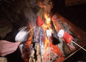 【30,000円分】DOTEKAGE CAMP GROUND利用チケット＜河口湖町共通返礼品＞