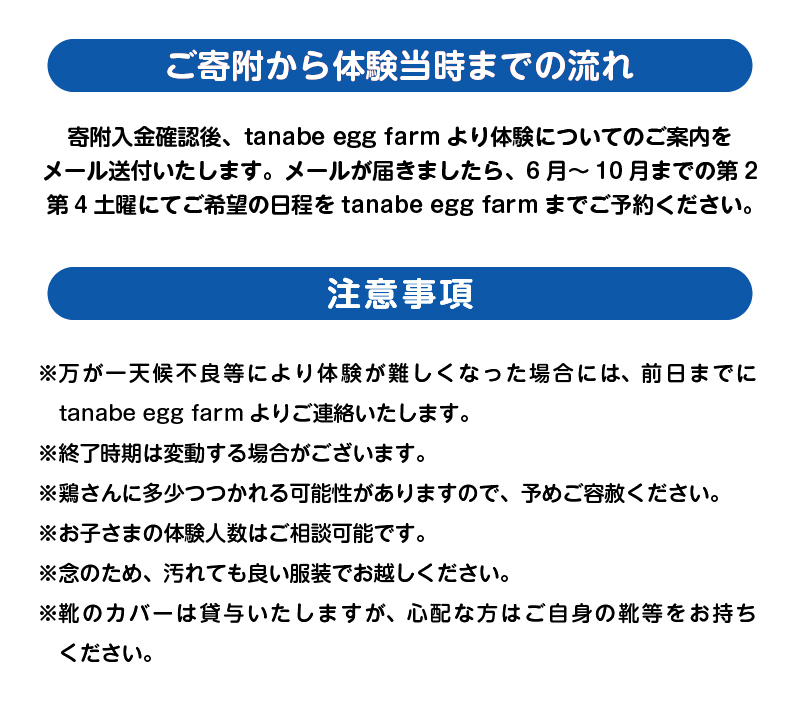 養鶏場で楽しむ鶏さんふれあい体験（平飼い放牧卵20個付き）