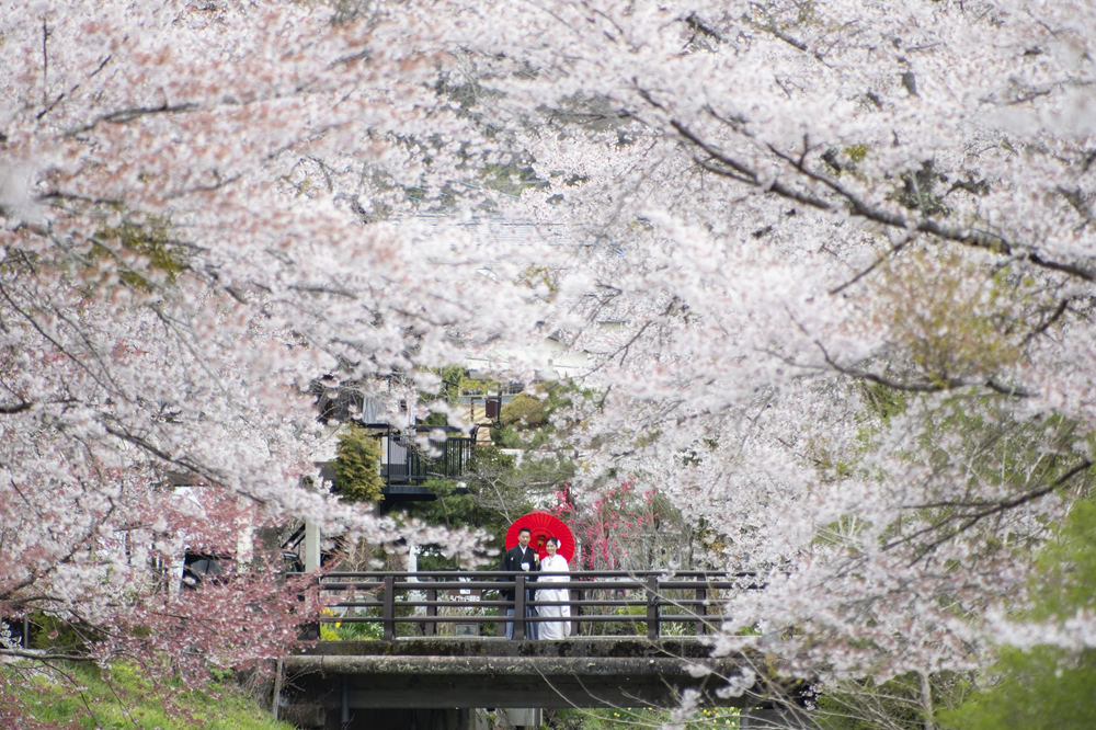 蜥瑚」繝ュ繧ア繝シ繧キ繝ァ繝ウ繝輔か繝