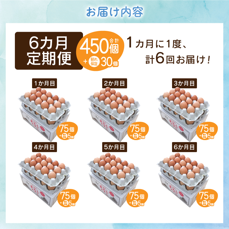 【6ヶ月定期便】”忍野の卵”旨味のピンク玉　※卵75個+割れ保証5個　計480個