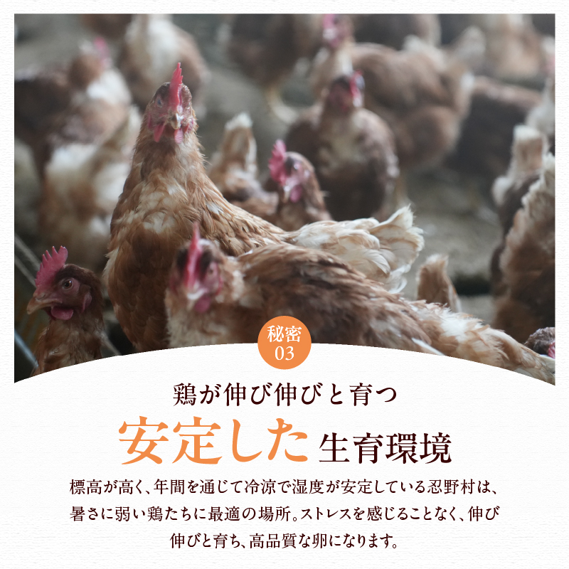 蟇悟」ォ螻ア縺ョ鮗薙〒閧イ縺」縺溽肇蝨ー逶エ騾 窶晏ソ埼弱ョ蜊オ窶昶サ蜊オ75蛟+蜑イ繧御ソ晁ィシ5蛟九險80蛟